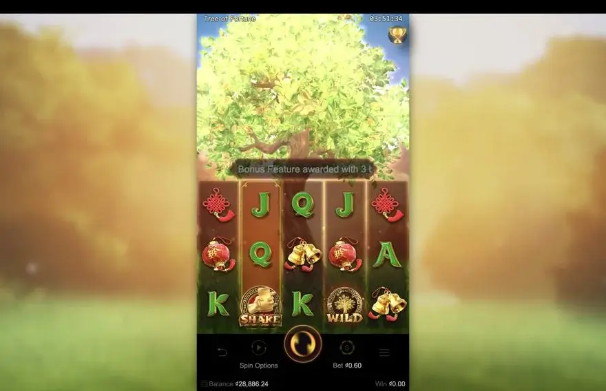 Ảnh bảng biểu tượng & tính năng game Tree of Fortune (slot LUCKY365) chơi tại LC79